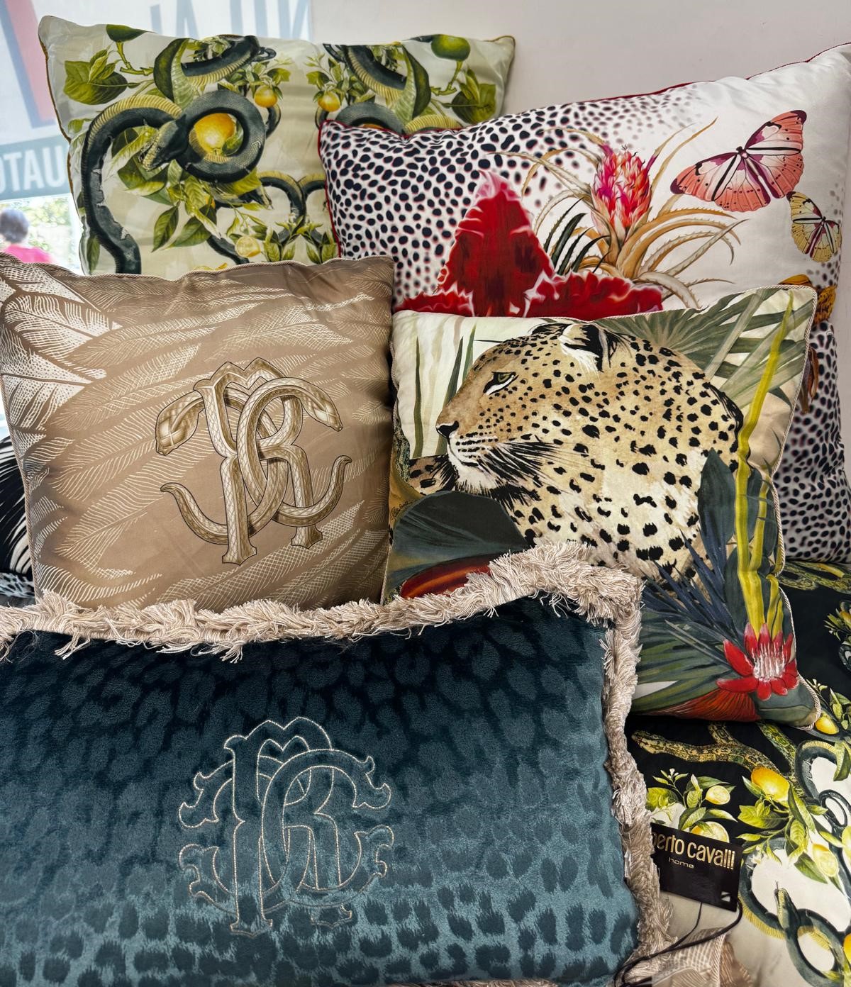 Cuscini arredo Roberto Cavalli 3 Cuscini arredo Roberto Cavalli